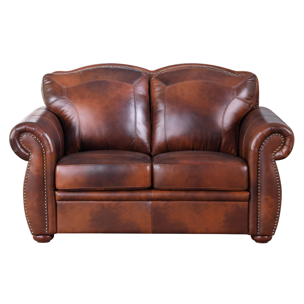 Arizona Leather Loveseat - Image 2